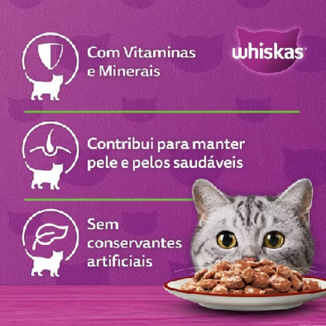 🐱 Whiskas Sachê